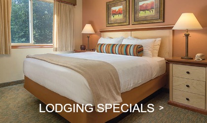 Whispering Woods Resort - Lodging Specials