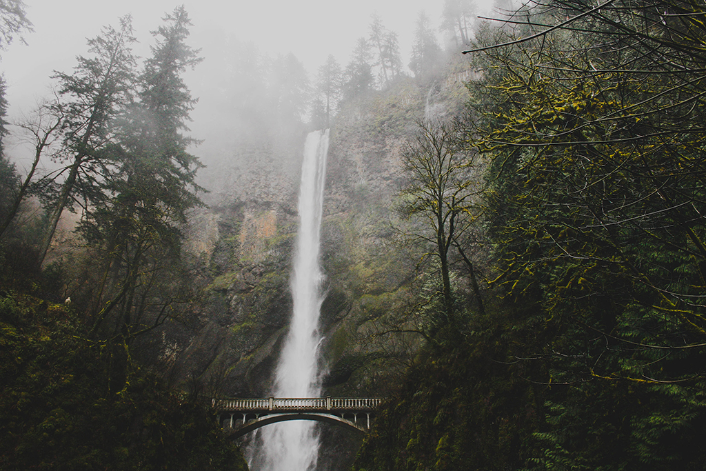 multnomah falls