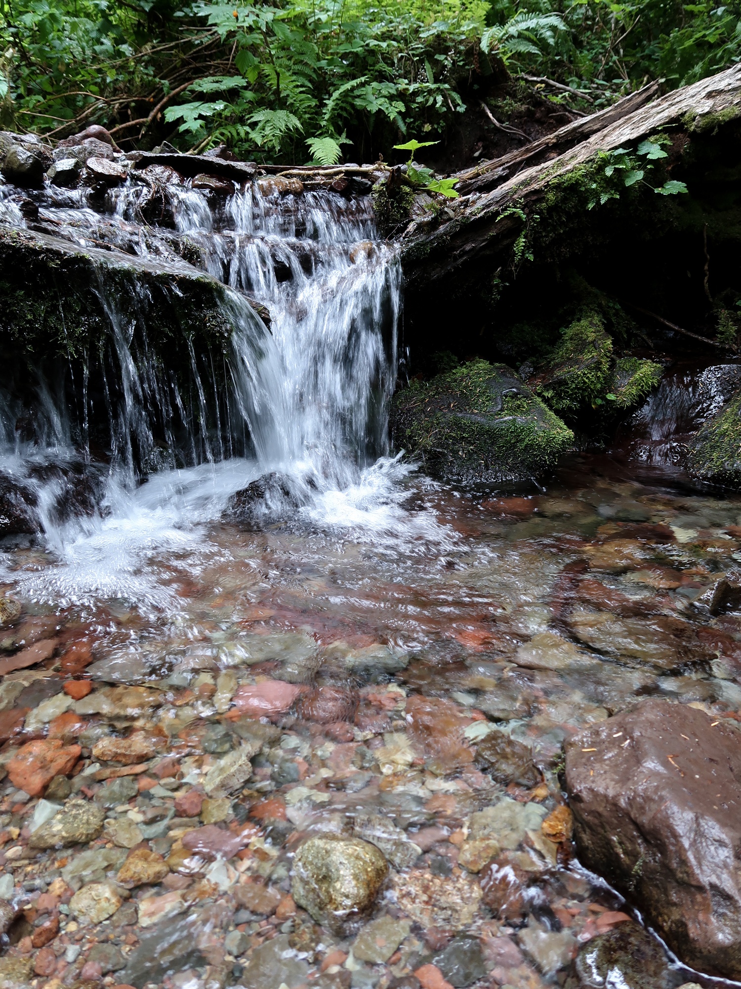 small waterfall on the trail