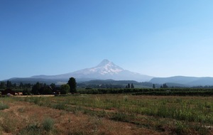 Mt. Hood Scenic Loop Day Trip - Discover Mt. Hood