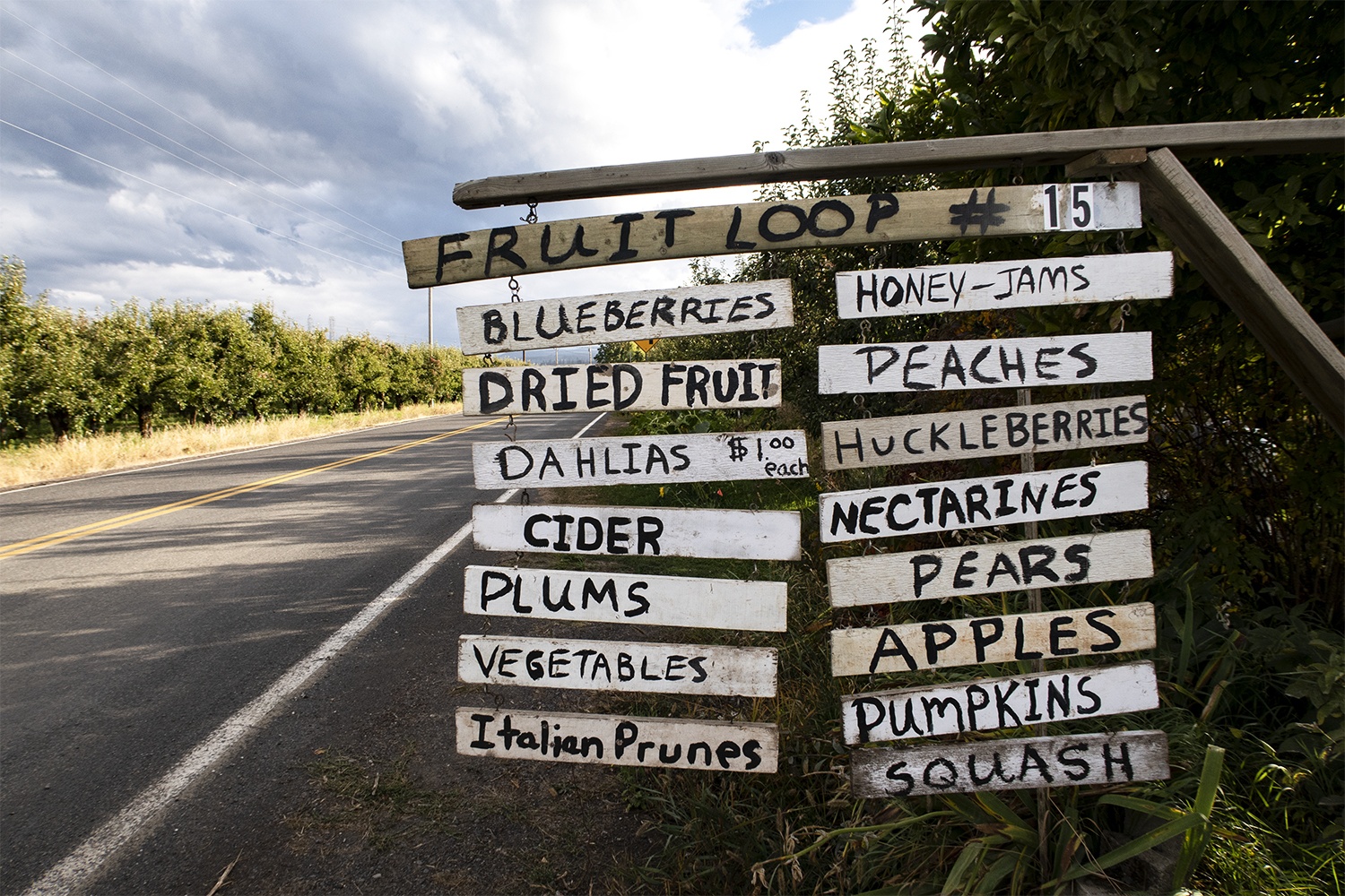 fruit loop sign