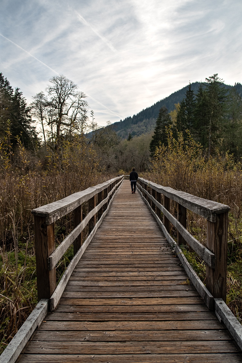 boardwalk on the cascade streamwatch trail