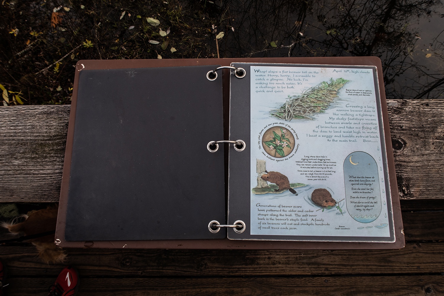 info board on the cascade streamwatch trail