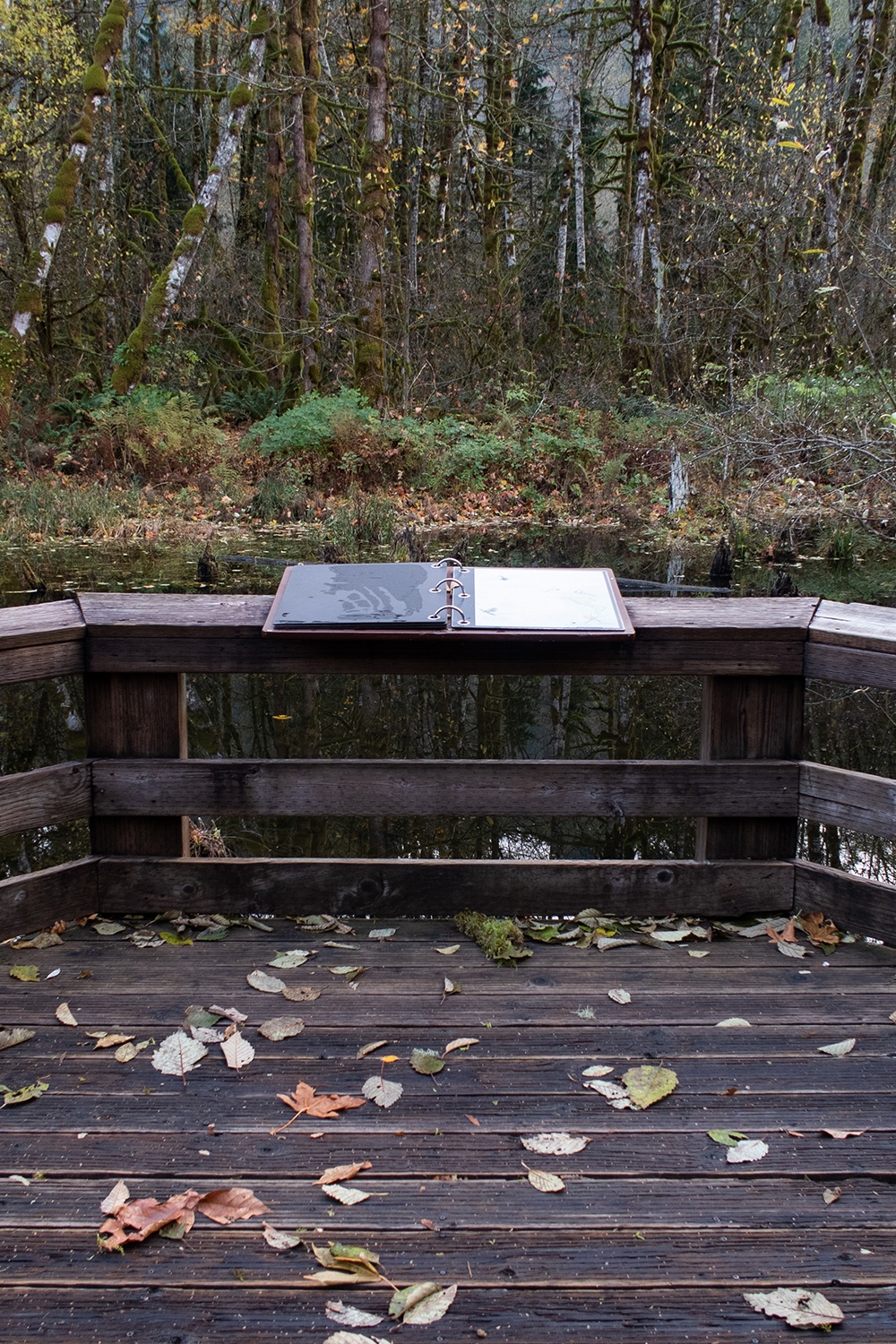 info board on the cascade streamwatch trail