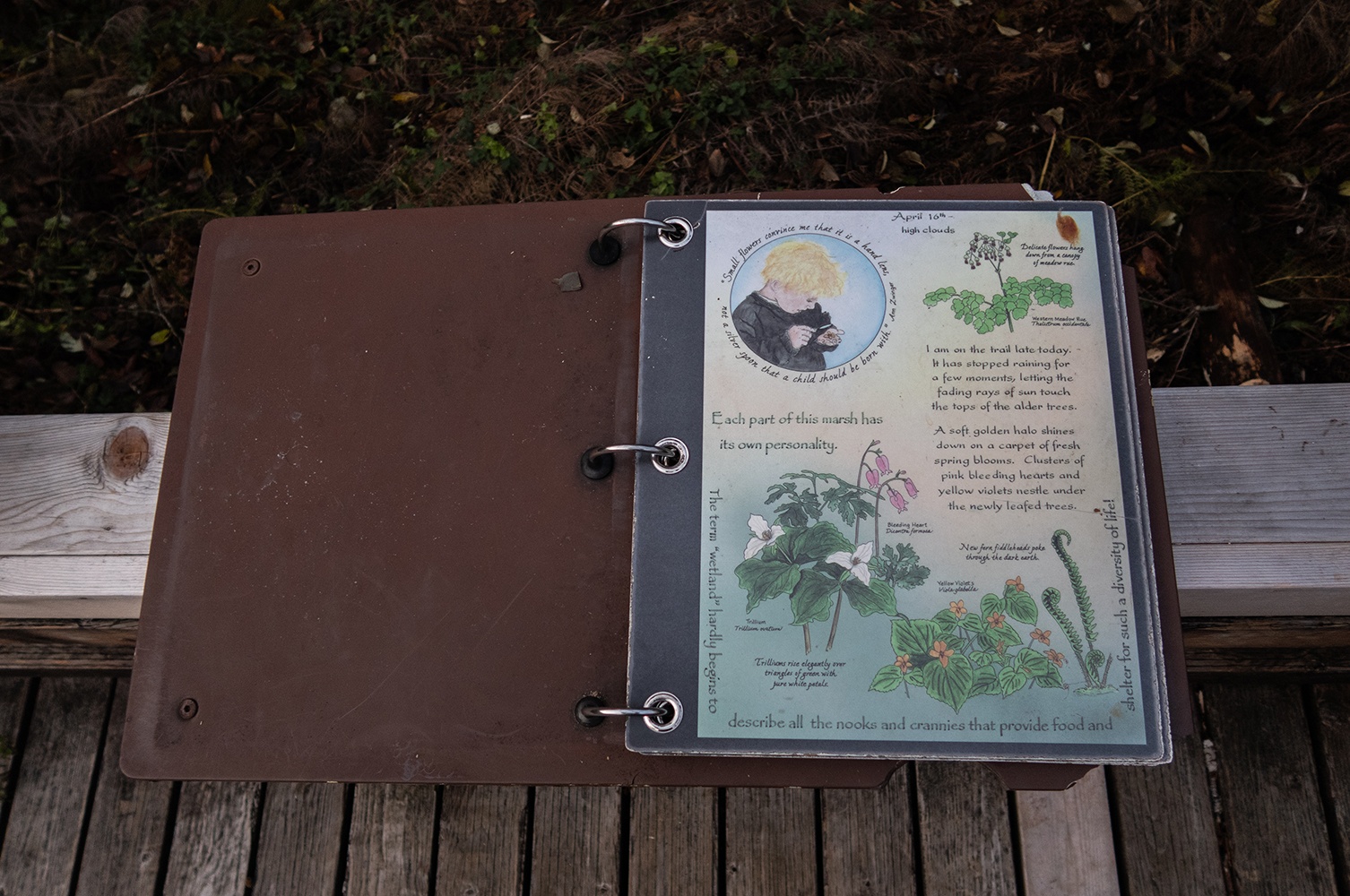 info board on the cascade streamwatch trail