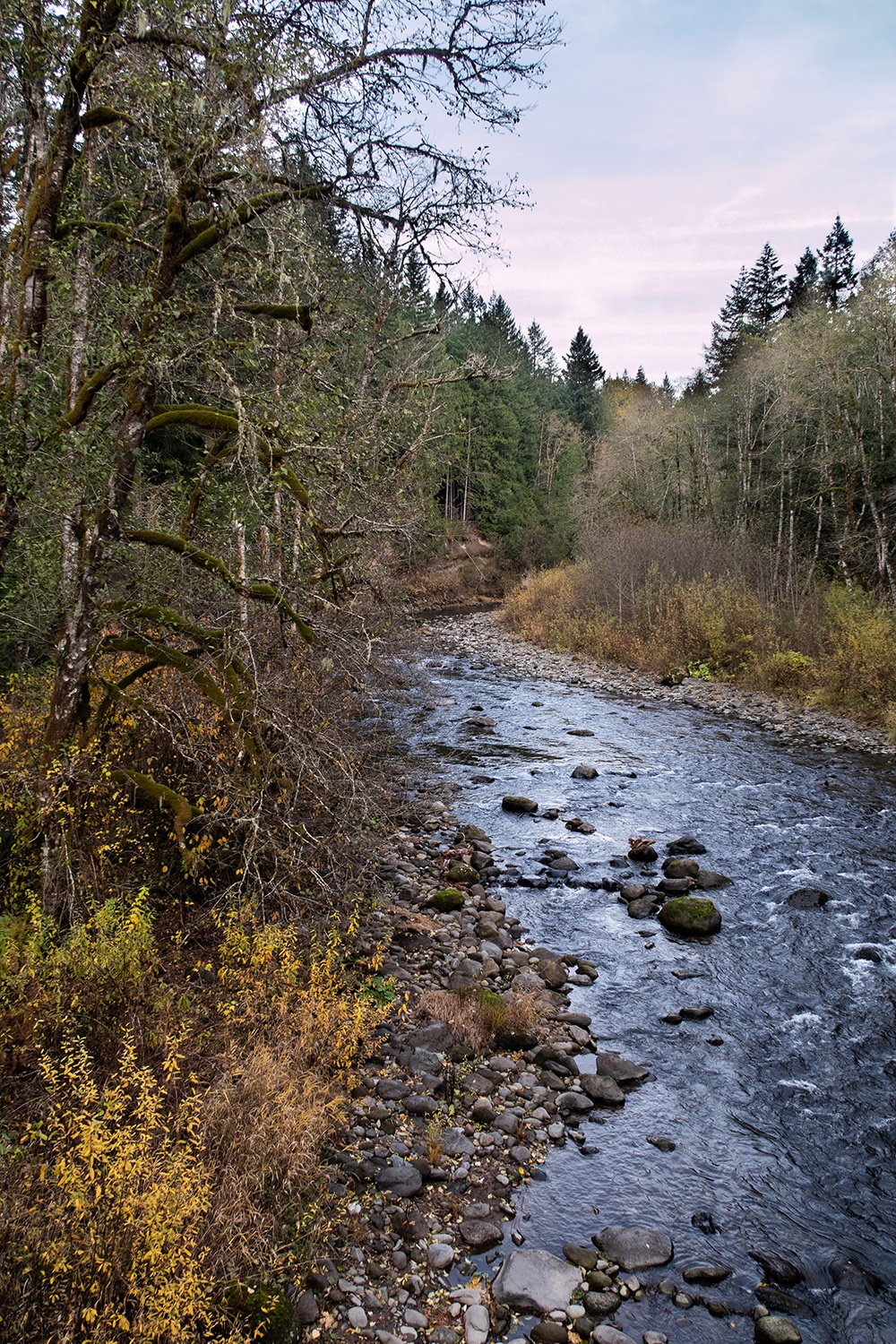 salmon river