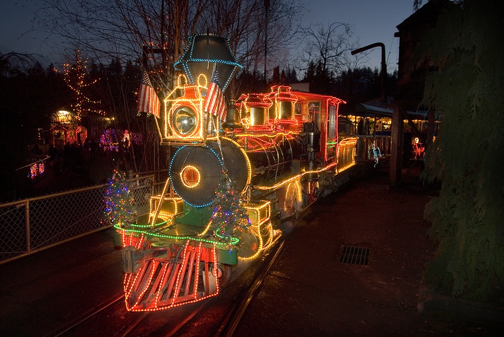 Zoo Lights Train