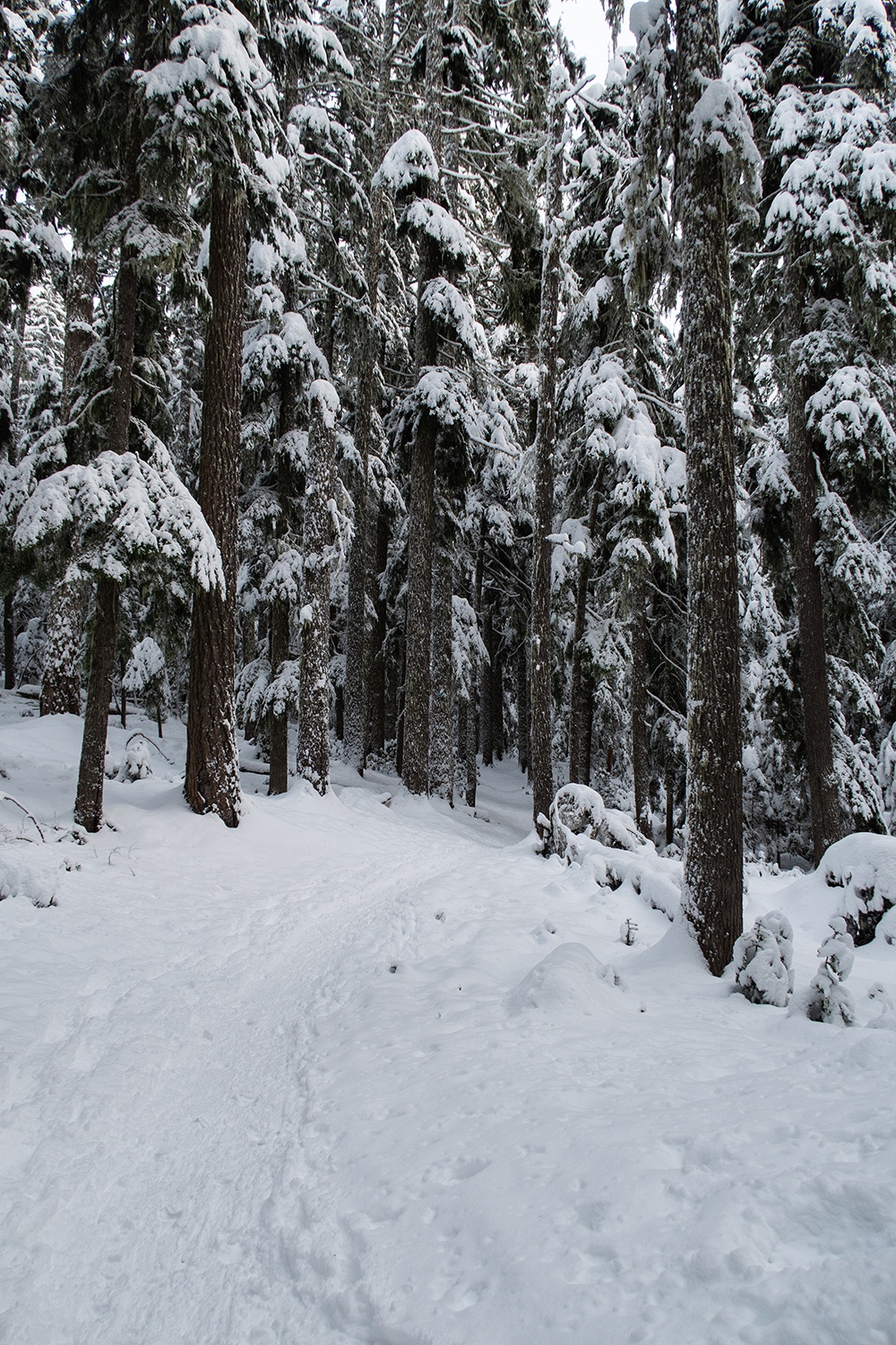 snowy trail on the lower twin lake trail