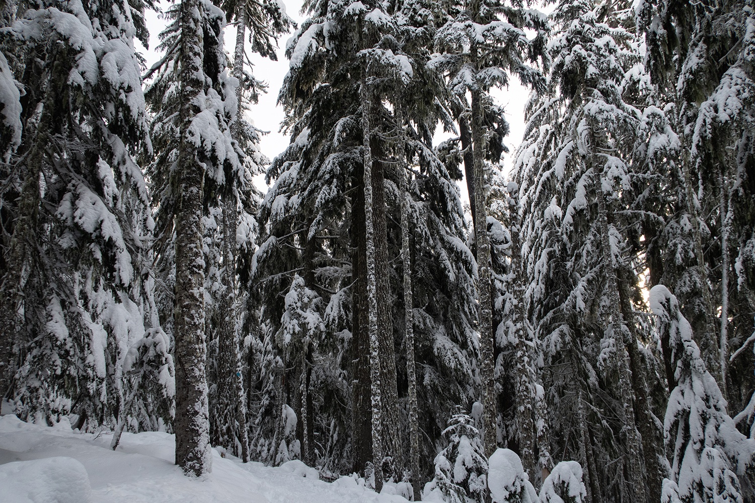 snowy trail on the lower twin lake trail