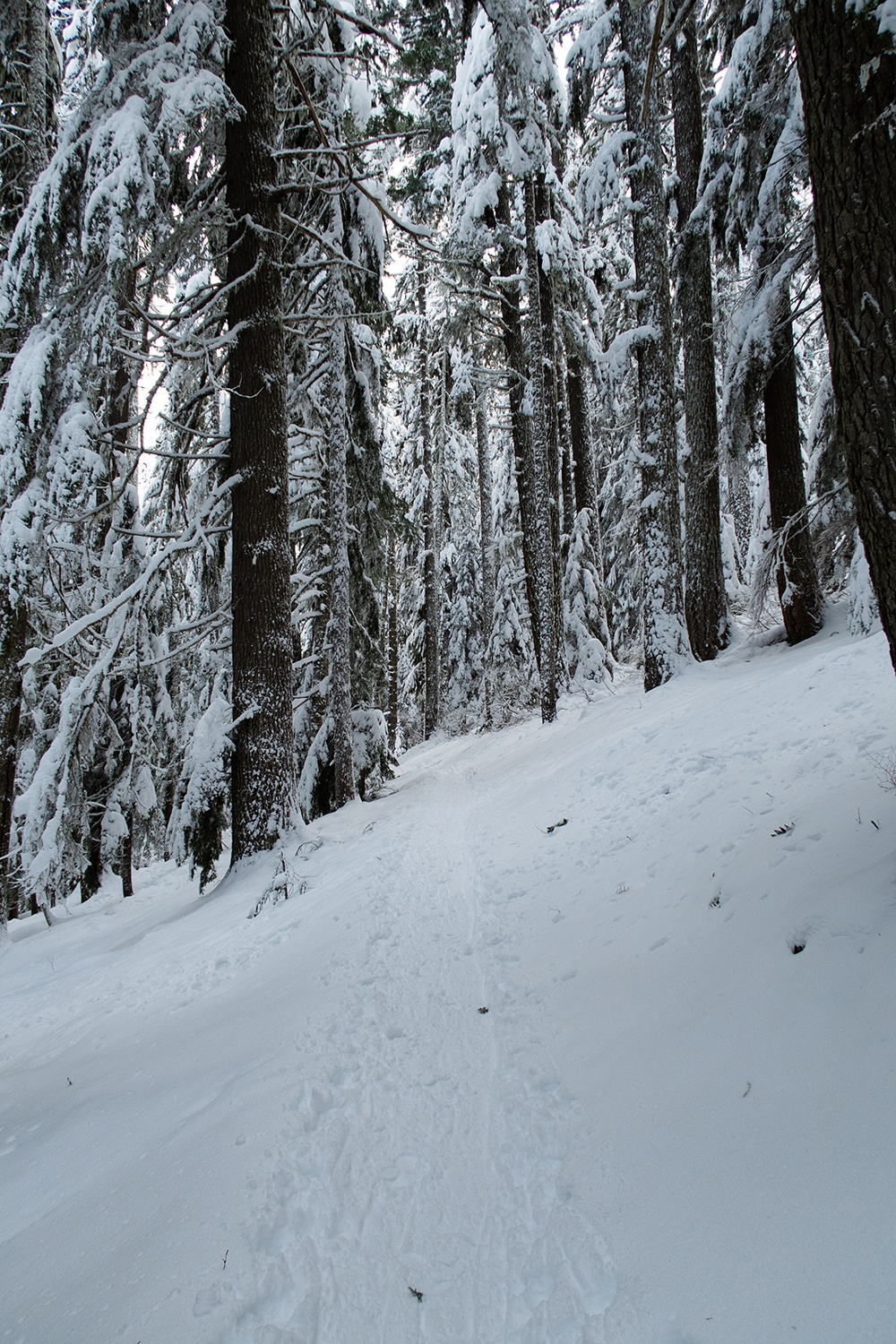 snowy trail on the lower twin lake trail