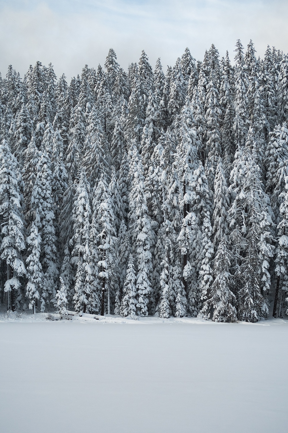 lower twin lake covered in snow