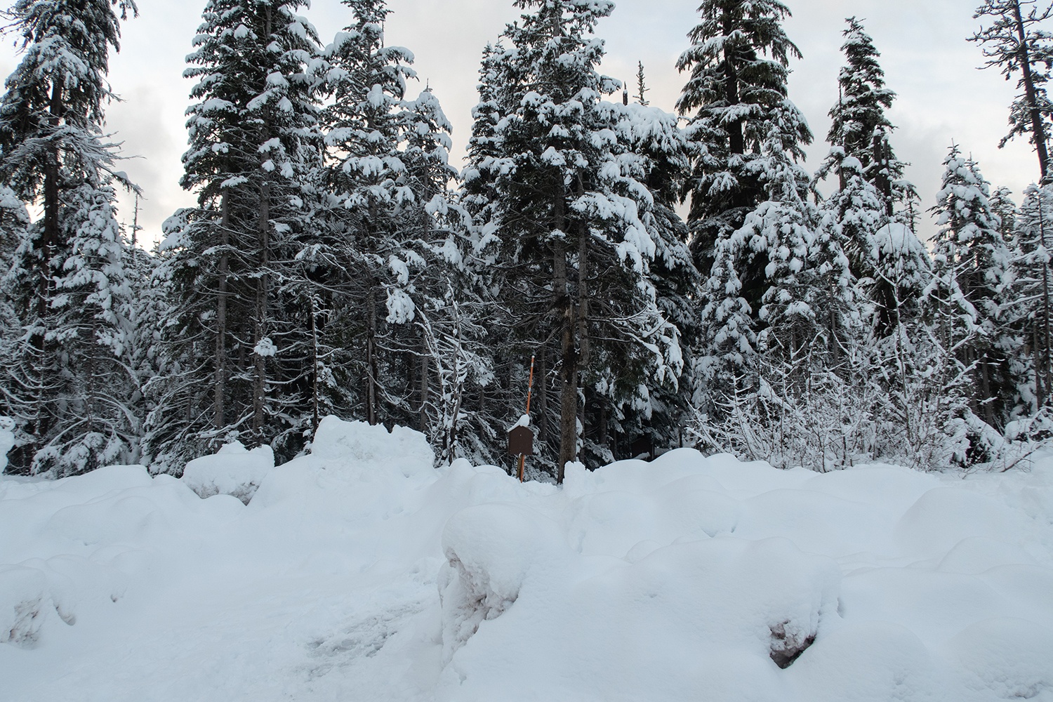 snow bank at the entrance of the lower twin lake trailhead