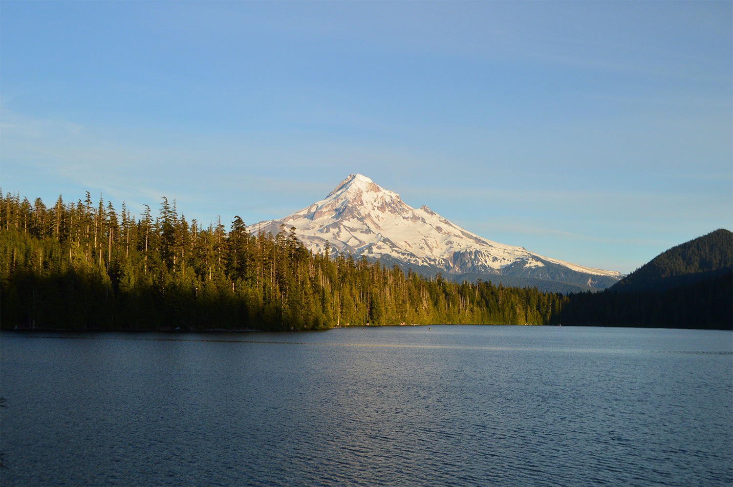 are dogs allowed at lost lake oregon