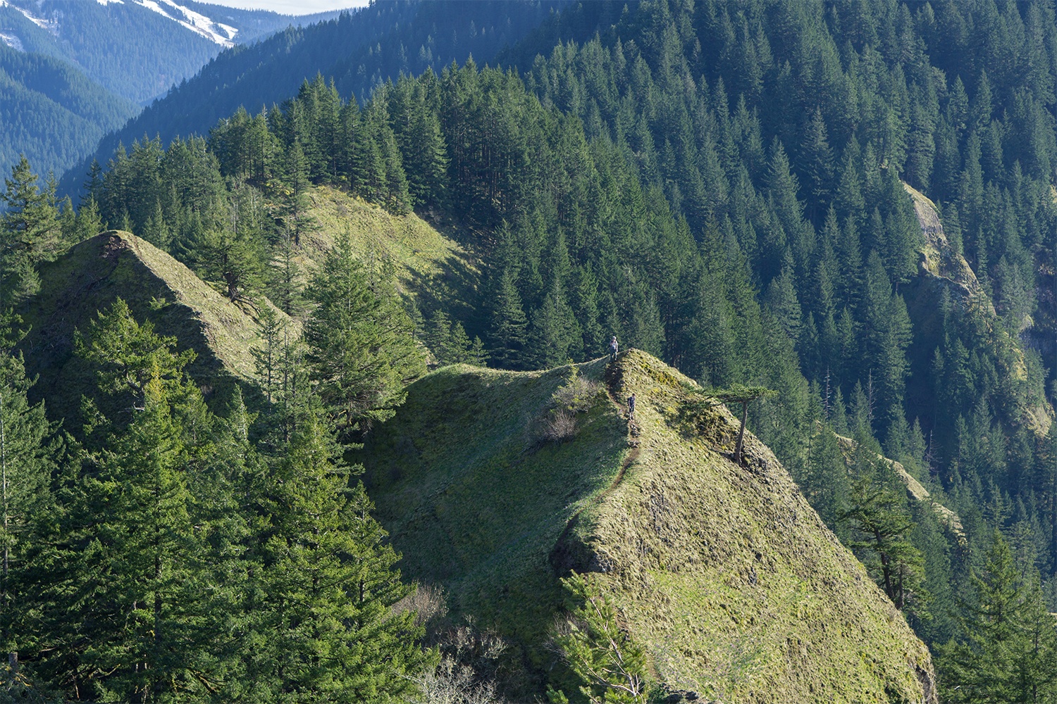 Munra Point - Discover Mt. Hood