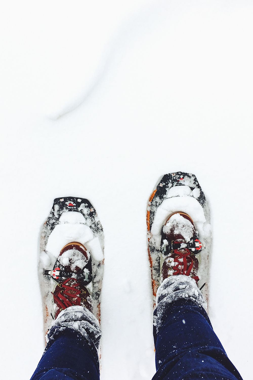 Three Places to Snowshoe on Mt. Hood this Winter - Discover Mt. Hood